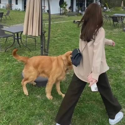 心灵救赎